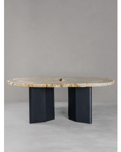 Petrified Dining Table